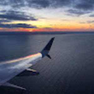 Meet your Posher, Ella